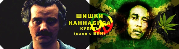 спайс Магас