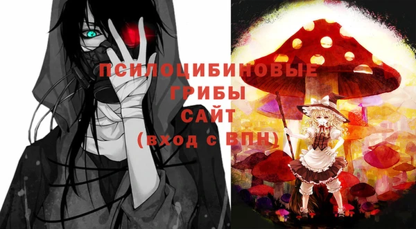 спайс Медвежьегорск