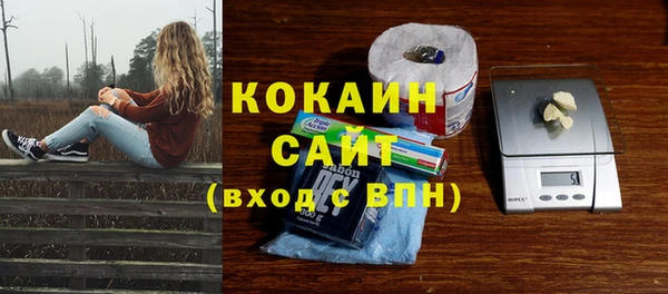 прущие крисы Магадан
