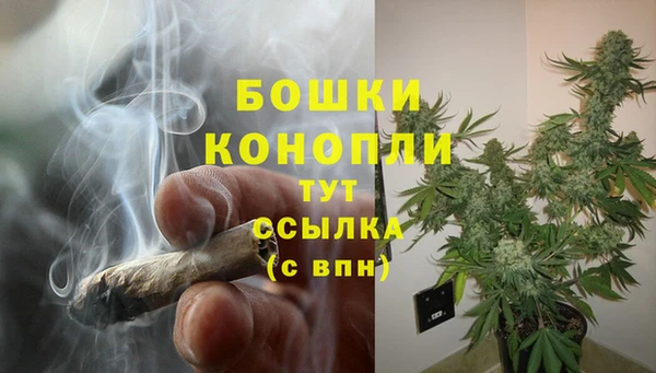 прущие крисы Магадан