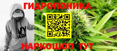 ALPHA PVP Беслан