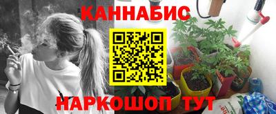PSILOCYBIN Бугуруслан