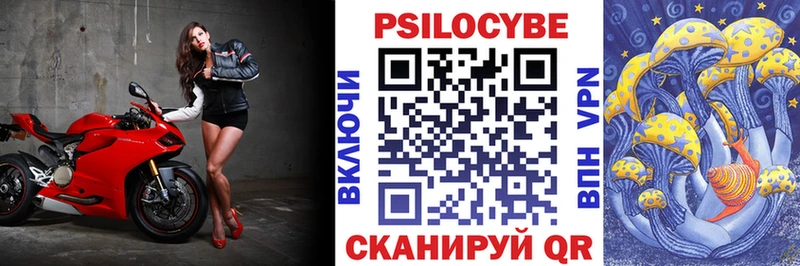 как найти   Гуково  Галлюциногенные грибы мухоморы 