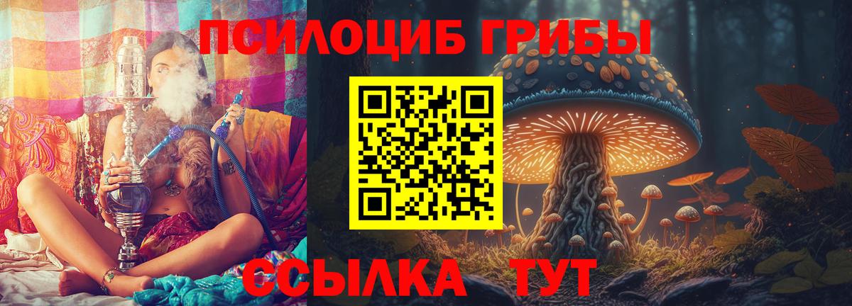 Галлюциногенные грибы мицелий Гуково