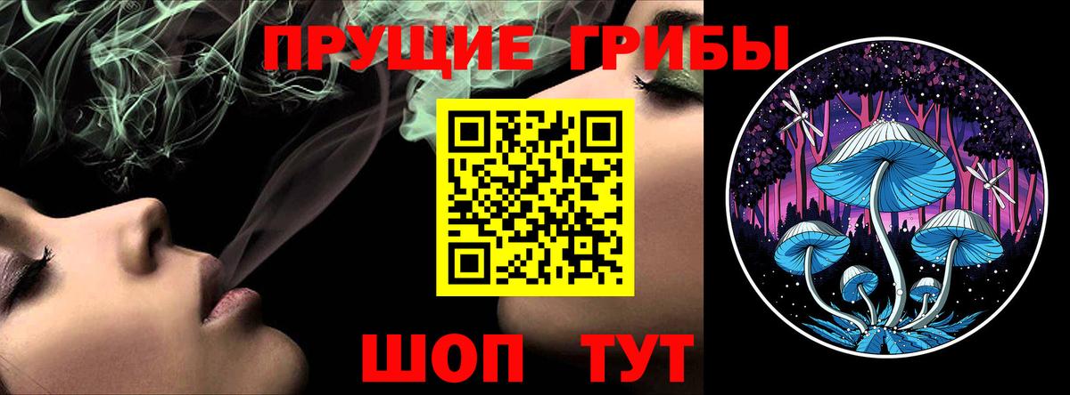 Псилоцибиновые грибы Cubensis Гуково