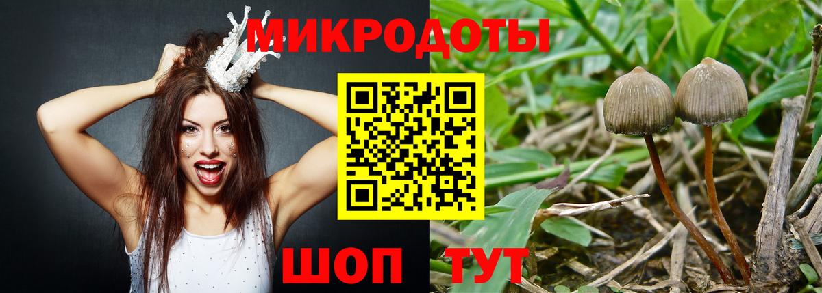 Гуково  Псилоцибиновые грибы мицелий  Вход с VPN  Псилоцибиновые грибы Psilocybe 