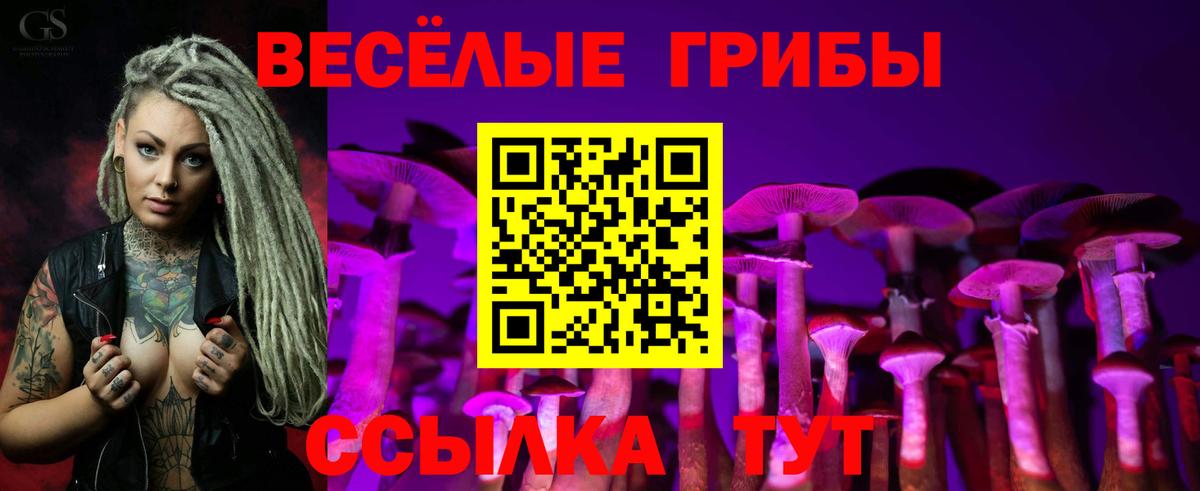 ТГК Гуково
